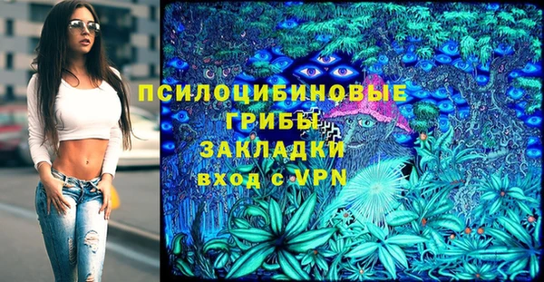 ГАЛЛЮЦИНОГЕННЫЕ ГРИБЫ Медвежьегорск