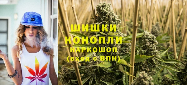 ГАЛЛЮЦИНОГЕННЫЕ ГРИБЫ Медвежьегорск