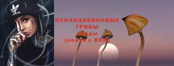 ГАЛЛЮЦИНОГЕННЫЕ ГРИБЫ Медвежьегорск