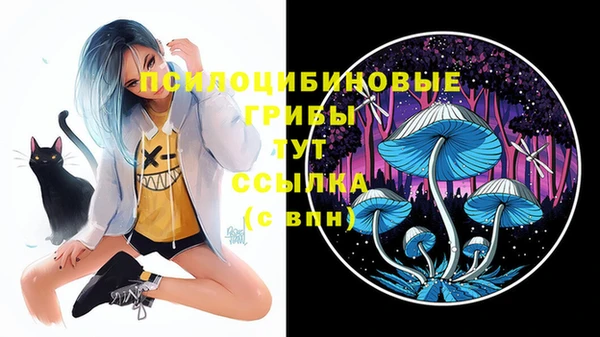 не бодяженный Мегион