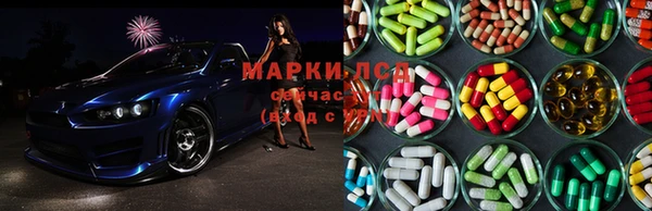 ГАЛЛЮЦИНОГЕННЫЕ ГРИБЫ Медвежьегорск