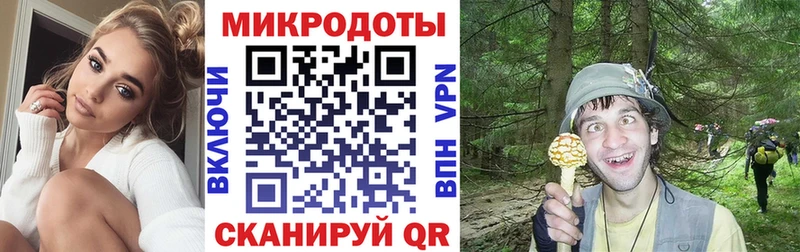 Псилоцибиновые грибы Psilocybine cubensis  Рубцовск 